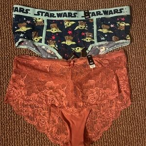 Torrid panties